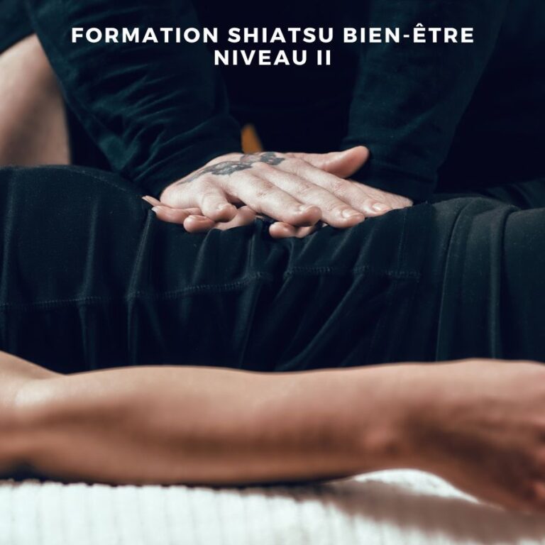Formation Shiatsu bien-être Niveau II Formation massage Mrauk-U à Vergèze, Gard