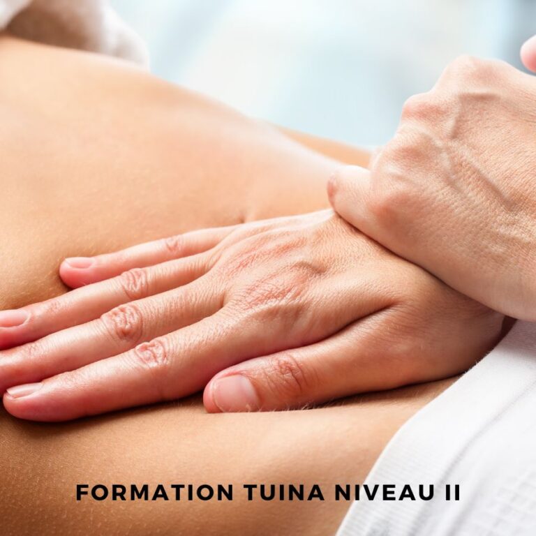Formation TUINA Niveau II Formation massage Mrauk-U à Vergèze, Gard