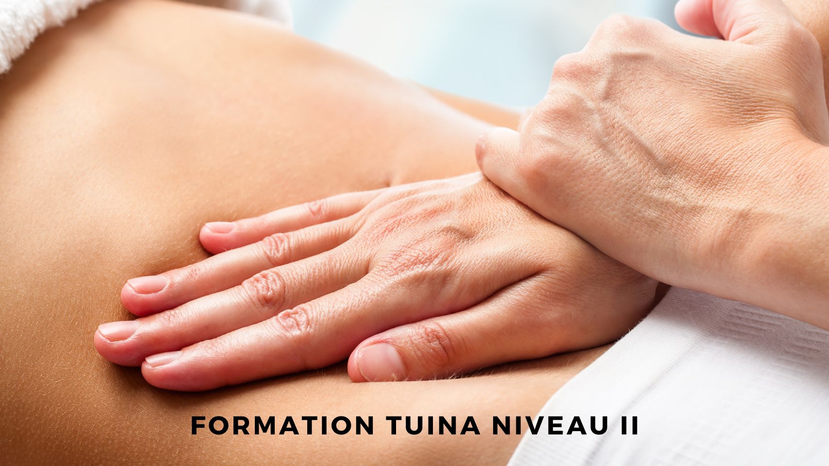 Formation TUINA Niveau II Formation massage Mrauk-U à Vergèze, Gard